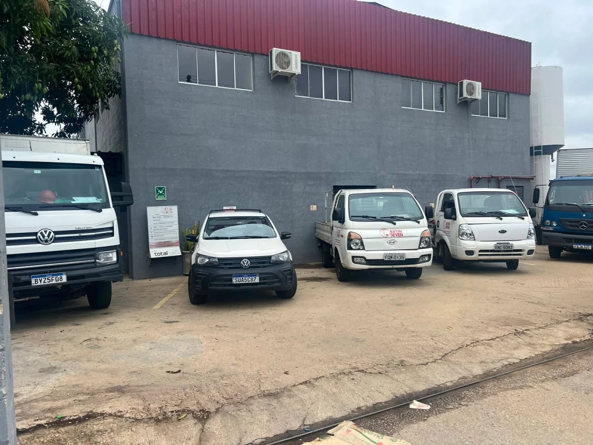 Galeria Extin Seven 6